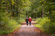Couple takes a walk through the autumn forest