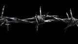 Fototapeta  - Closeup of metal barbed wire on black background. Symbol of prison and freedom