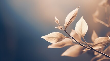 Wall Mural - A close up of a leaf on the branch with some light behind it, AI