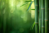 Fototapeta Sypialnia - A Bamboo Tree With Green Leaves in the Background