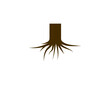 Plant, roots icon. Vector illustration.