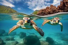 AI Generated Illustration Of Two Turtles Swimming In The Sea