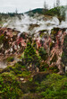 © Michael Marquand - Landscape of Orakei Korako Geothermal Park, Taupo, North Island, New Zealand