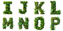Letters I, J, K, L, M, N, O, P Are Made Of The Vibrant Green Ecosystem Of Moss, Ferns, And Monstera Plants.