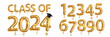 Vector realistic isolated golden balloon text of Class of 2024 with graduation cap and set of numbers on the white background.
