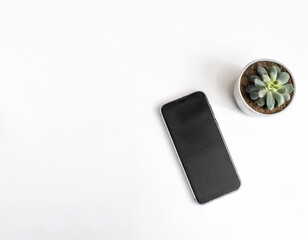 Wall Mural - Top view of a Mobile phone with a pot on white background.