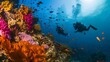 Scuba Divers Exploring Vibrant Coral Reef