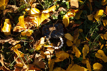 Wall Mural - The bag in the autumn leaf