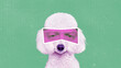 Contemporary art collage. White poodle with human eyes in pink neon filter with emotion of dissatisfaction . Animals with human facial expression. Concept of surrealism, fun, creativity, inspiration.