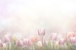 tulips background, place for text, the eighth of March, aesthetics