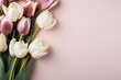 tulips background, place for text, the eighth of March, aesthetics