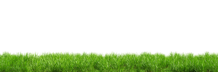 Aufkleber - Seamless green lawn border isolated on transparent background. 3D render. 3D illustration.

