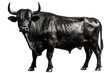 © Stock-X - Black bull cow on transparent background PNG image
