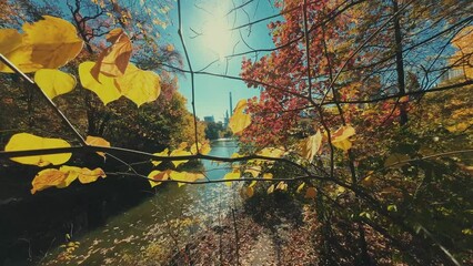 Poster - New York City Central Park in slow motion