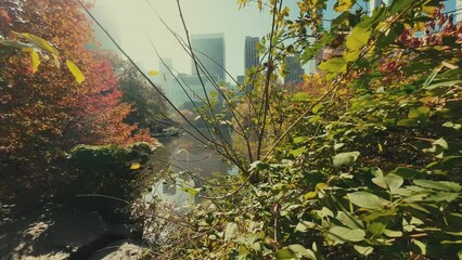 Poster - New York City Central Park in slow motion