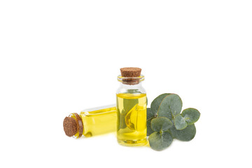 Eucalyptus essential oil in a glass bottle with green eucalyptus leaves isolated on white background. Aromatherapy. Spa. Concept of natural cosmetology and beauty industry.