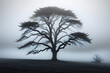 An ethereal landscape shrouded in dense fog, with the silhouette of a lone tree barely visible through the swirl