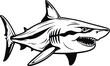 Shark, angry shark, megalodon, Vector Illustration