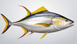Yellowfin Tuna Drawing on White Background