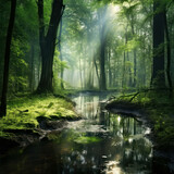 Fototapeta Natura - Swamp forest scene with a light mist, showcasing the tranquil beauty of nature in spring. AI generative.