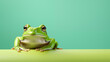 A green frog gazing on a soft pastel green background.