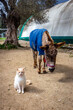 Donkey and cat in rescue shelter center - Corfu, Greece