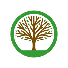 Wall Mural - tree icon. abstract tree symbol. concept of caring for a green environment.