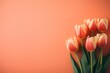 Close-up of tulip blossoms in rich hues on a pastel orange surface, leaving plenty of room for creative text placement.
