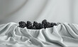blackberries swaddle white surface in the style of uh