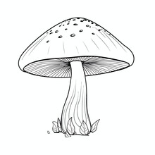 Black And White Vector Illustration Of A Single Mushroom Isolated On A White Background For Printing. Mushroom Coloring Book.