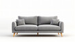 Modern Scandinavian classic gray sofa with legs.