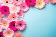 Top view of vibrant gerbera daisies on a pastel surface, allowing for easy text insertion in high definition.