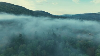 Sticker - Autumn foliage aerial view in Lake George with morning fog