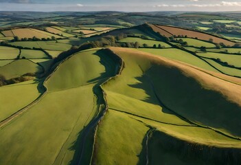 Sticker - view of a landscape with fields