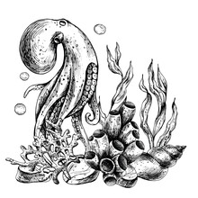 Underwater World Clipart With Sea Animals Octopus, Shells, Coral And Algae. Graphic Illustration Hand Drawn In Black Ink. Composition EPS Vector.