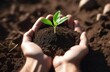 Arbor Day, a green sprout in the palms, a handful of earth in the hands, Handholding tree sapling, planting plants, a young plant grows out of the soil, dark background