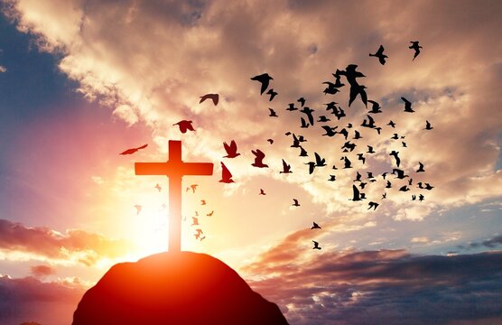 Big wooden Cross on sky background