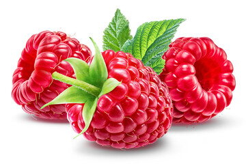 Wall Mural - Three juicy raspberries with a leaf isolated on a white background.