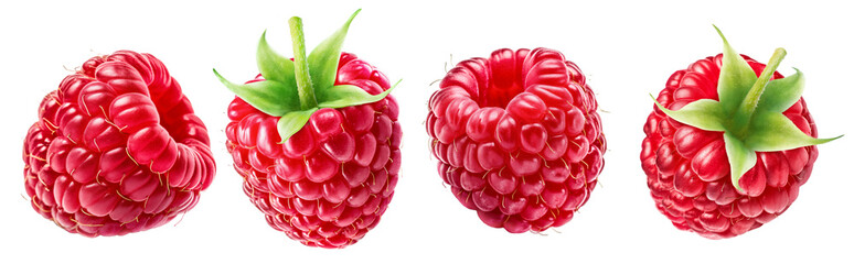 Set of four ripe raspberries isolated on a white background.