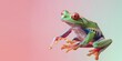 green frog jumping up in the air on the pastel background