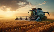 © Daniela - Combine harvester harvesting the wheat on the amazing wheat field
