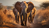 Fototapeta Na ścianę - Elephant herd walking in African savannah at sunset generated by AI