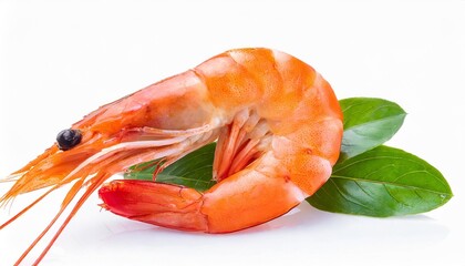 red cooked prawn or tiger shrimp isolated on white background