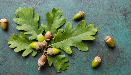 Wall Mural - branch with green oak tree leaves and acorns on colored background close up top view