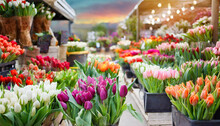 Bright Flower Market With A Variety Of Blooming Colorful Tulips.	