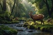  Forrest background with wildlife animals near stream