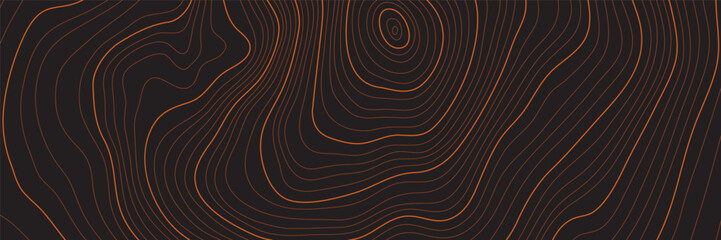 Wall Mural - the stylized height of the topographic contour in lines and contours. the concept of a conditional g
