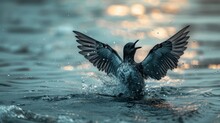  A Bird That Is In The Water With It's Wings Spread Out And It's Landing On The Water.