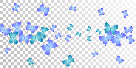 Wall Mural - Exotic blue butterflies isolated vector background. Summer colorful insects. Fancy butterflies isolated children illustration. Tender wings moths graphic design. Nature creatures.