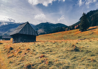 Wall Mural - Chocholowska Valley in autumn - Tatra Mountains